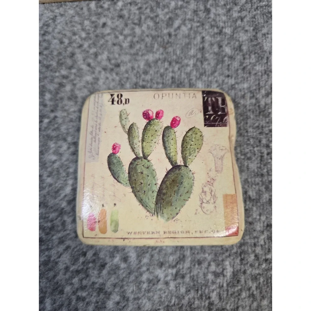 Set Of 4 Cactus Coasters